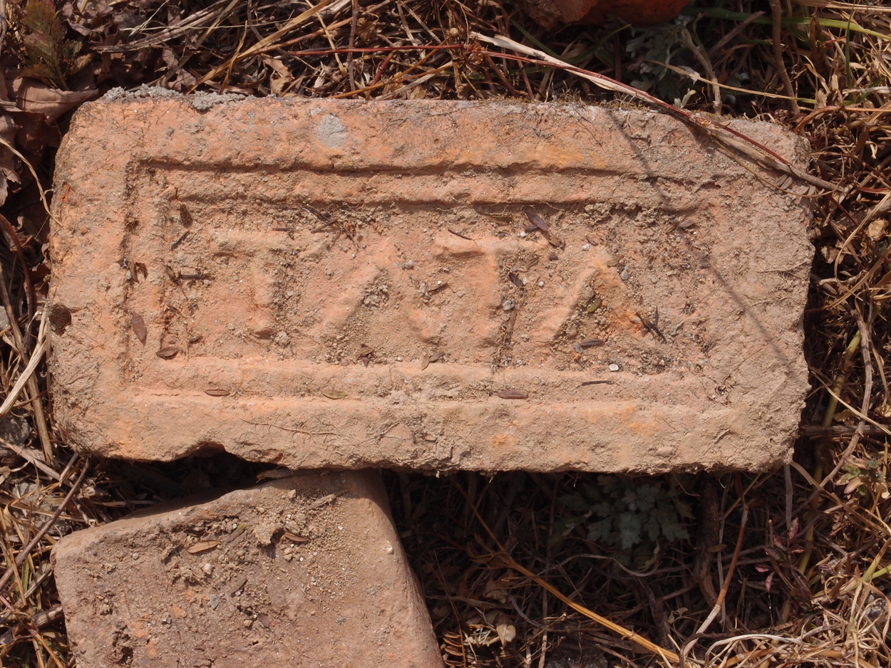 2018-01-16 12 Uhr - Im Shivapuri Nagarjun National Park (Nagi Gumba) (Foto) 